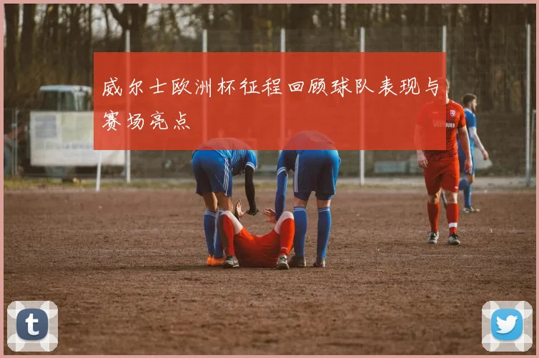 威尔士欧洲杯征程回顾球队表现与赛场亮点
