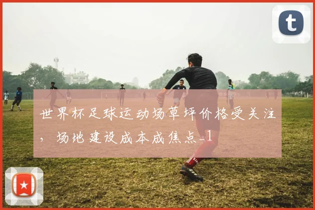 世界杯足球运动场草坪价格受关注,场地建设成本成焦点_1