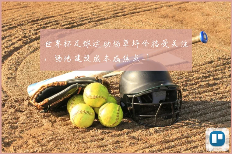世界杯足球运动场草坪价格受关注,场地建设成本成焦点_1