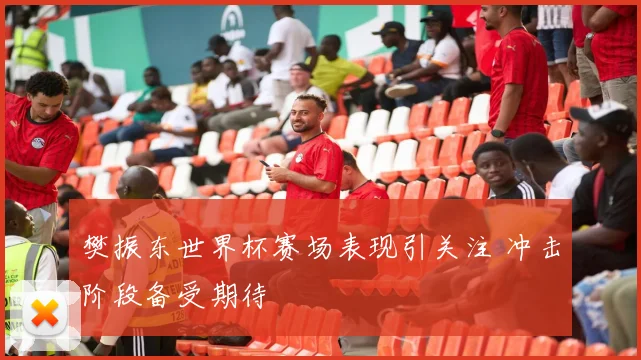 樊振东世界杯赛场表现引关注 冲击阶段备受期待