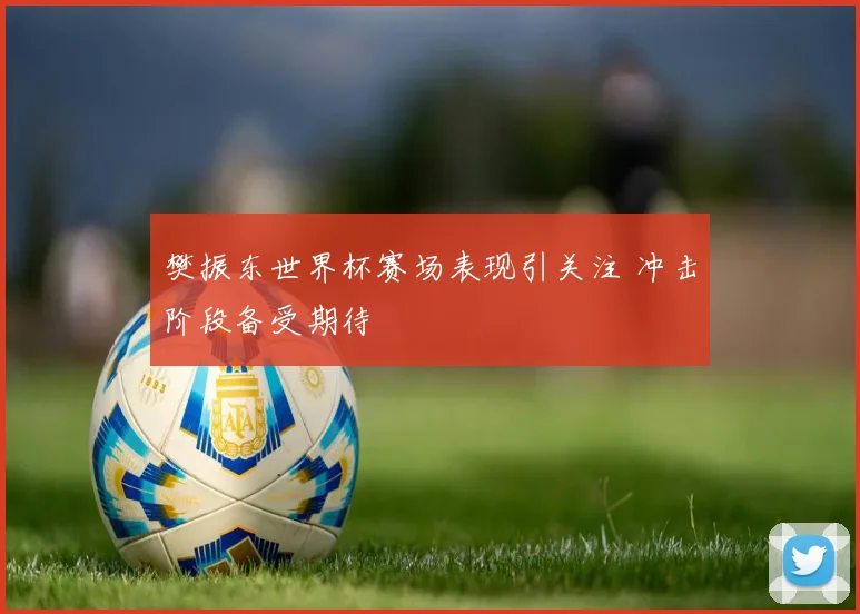 樊振东世界杯赛场表现引关注 冲击阶段备受期待