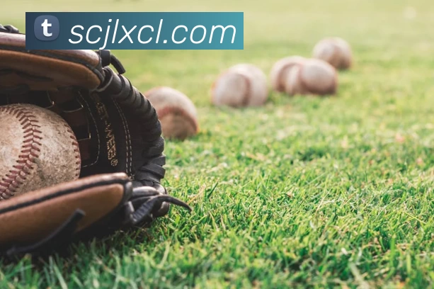 世界杯官网平台品牌故事