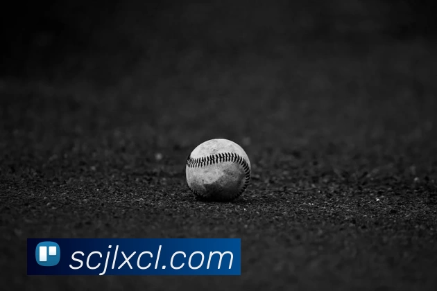 世界杯官网平台服务体系